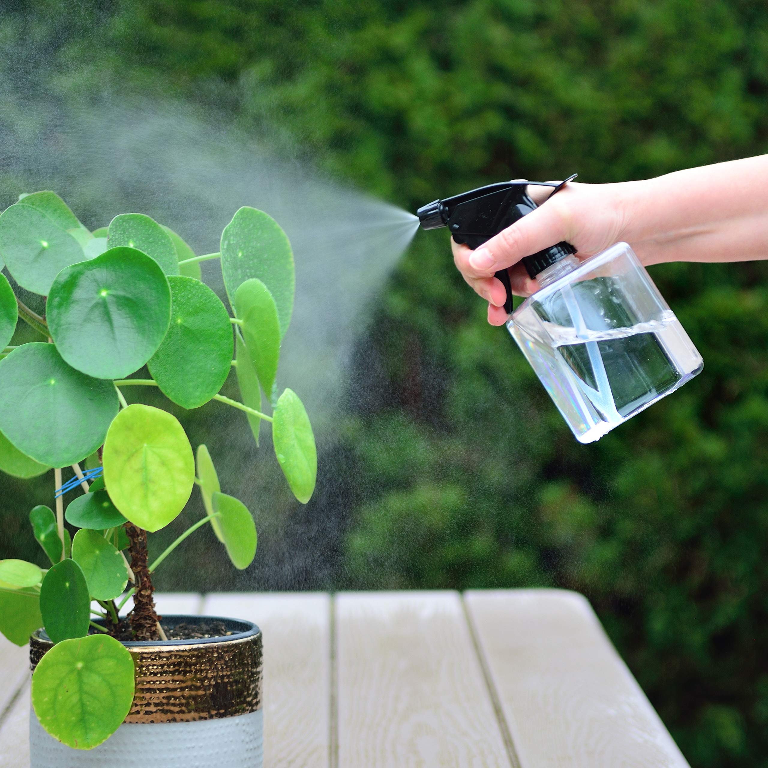 Youngever 5 Pack Empty Plastic Spray Bottles, Square Spray Bottles for Hair and Cleaning Solutions