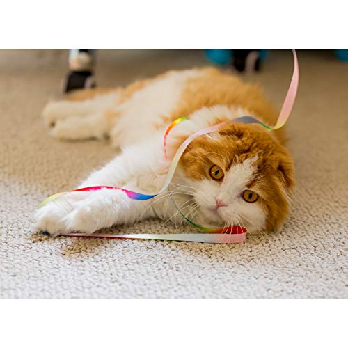Youngever 15 Kitten Toys Assortment, Cat Play Mat, Cat Teaser Wand, Crinkle Balls for Kitten & Puppy