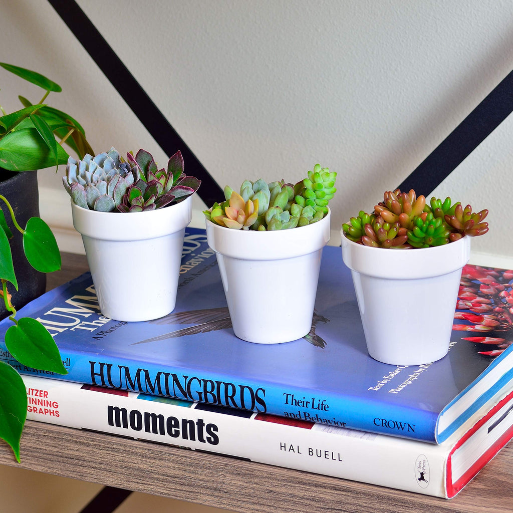 Youngever 10 Pack 3 Inch Mini Plastic Planters Indoor Flower Plant Pots, White Gardening Pot with Drainage for All House Plants, Flowers, Herbs, Succulents, NO Plant Included