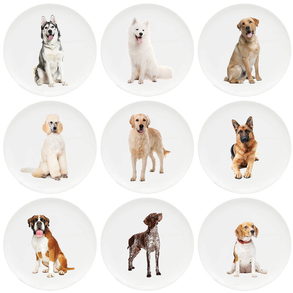 Youngever 10 Inch Plastic Plates, Large Plates, Dinner Plates, Set of 9