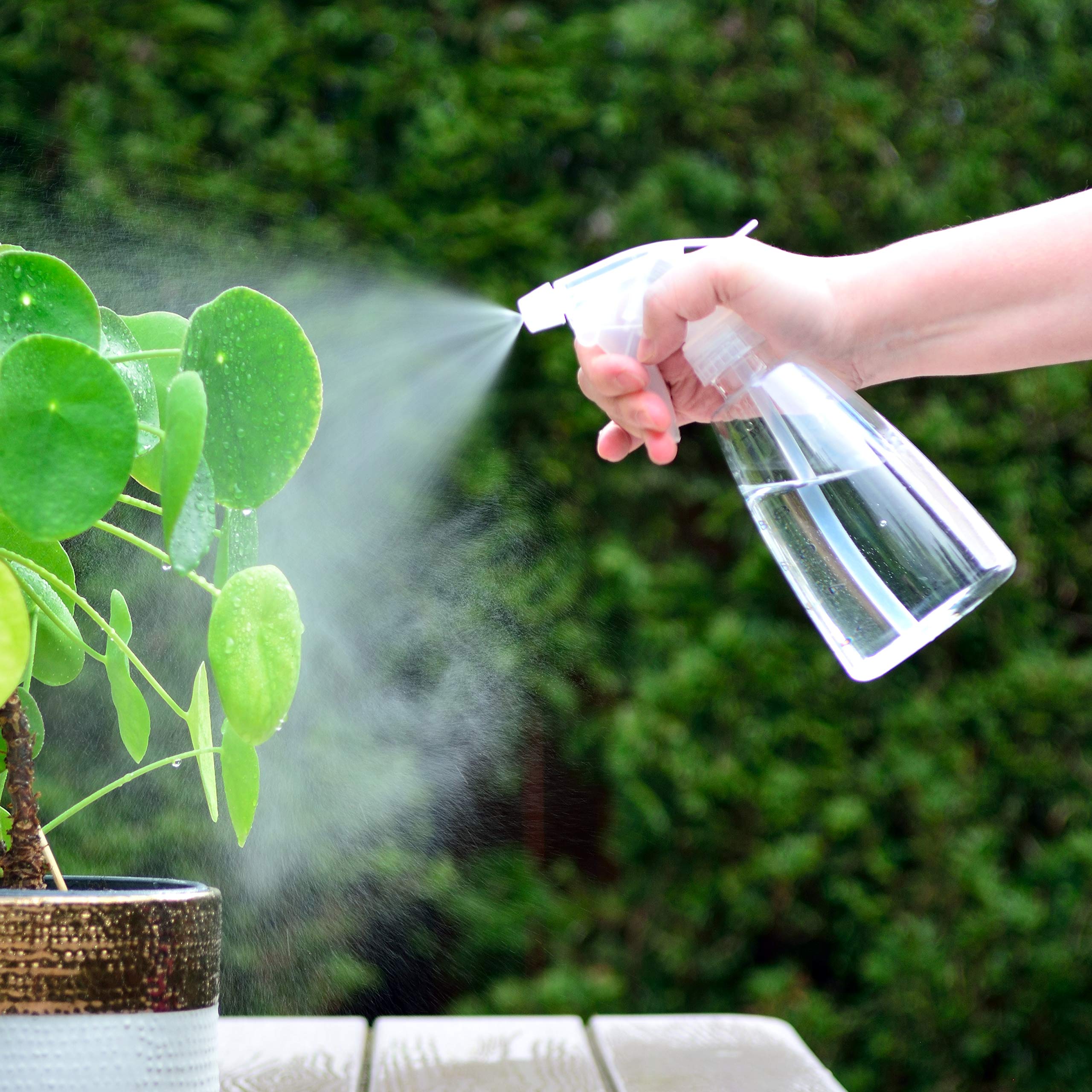 Youngever 6 Pack Empty Plastic Spray Bottles, Spray Bottles for Hair and Cleaning Solutions