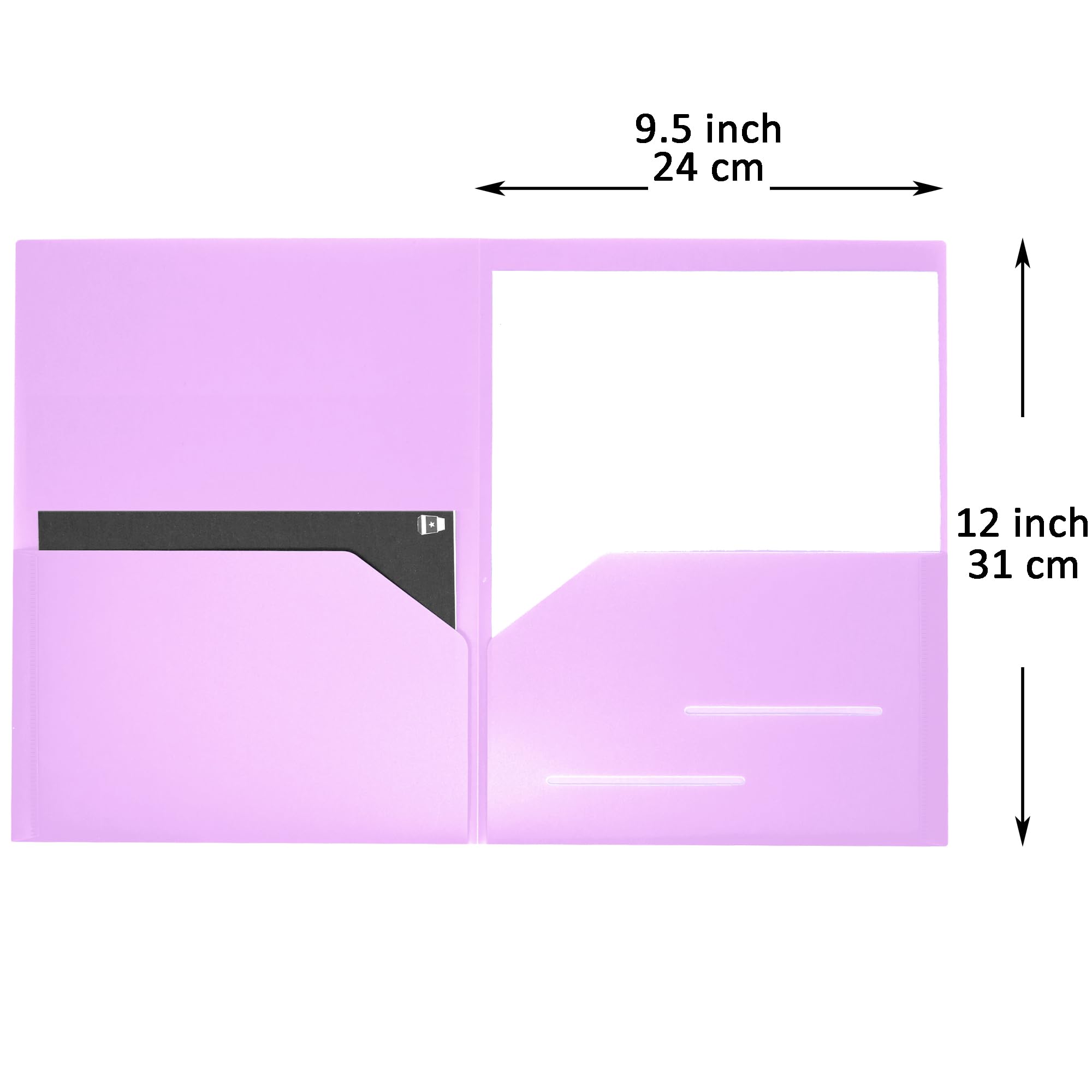 Youngever 6 Pack Heavy Duty Plastic Two Pocket Folders, Heavy Duty Plastic 2 Pocket Folder