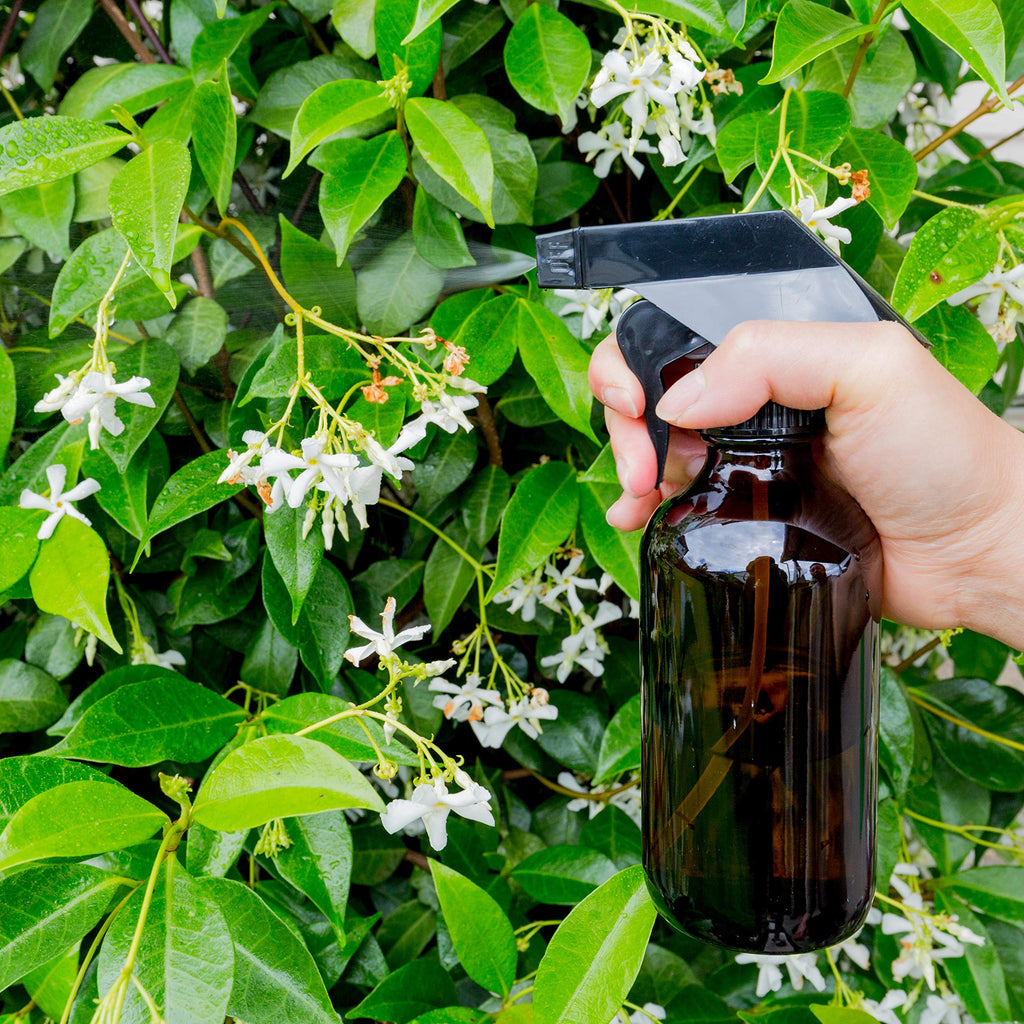 Youngever 5 Pack Empty Amber Glass Spray Bottles, 8 Ounce Refillable Container for Essential Oils, Cleaning Products, or Aromatherapy, Trigger Sprayer with Mist and Stream Settings