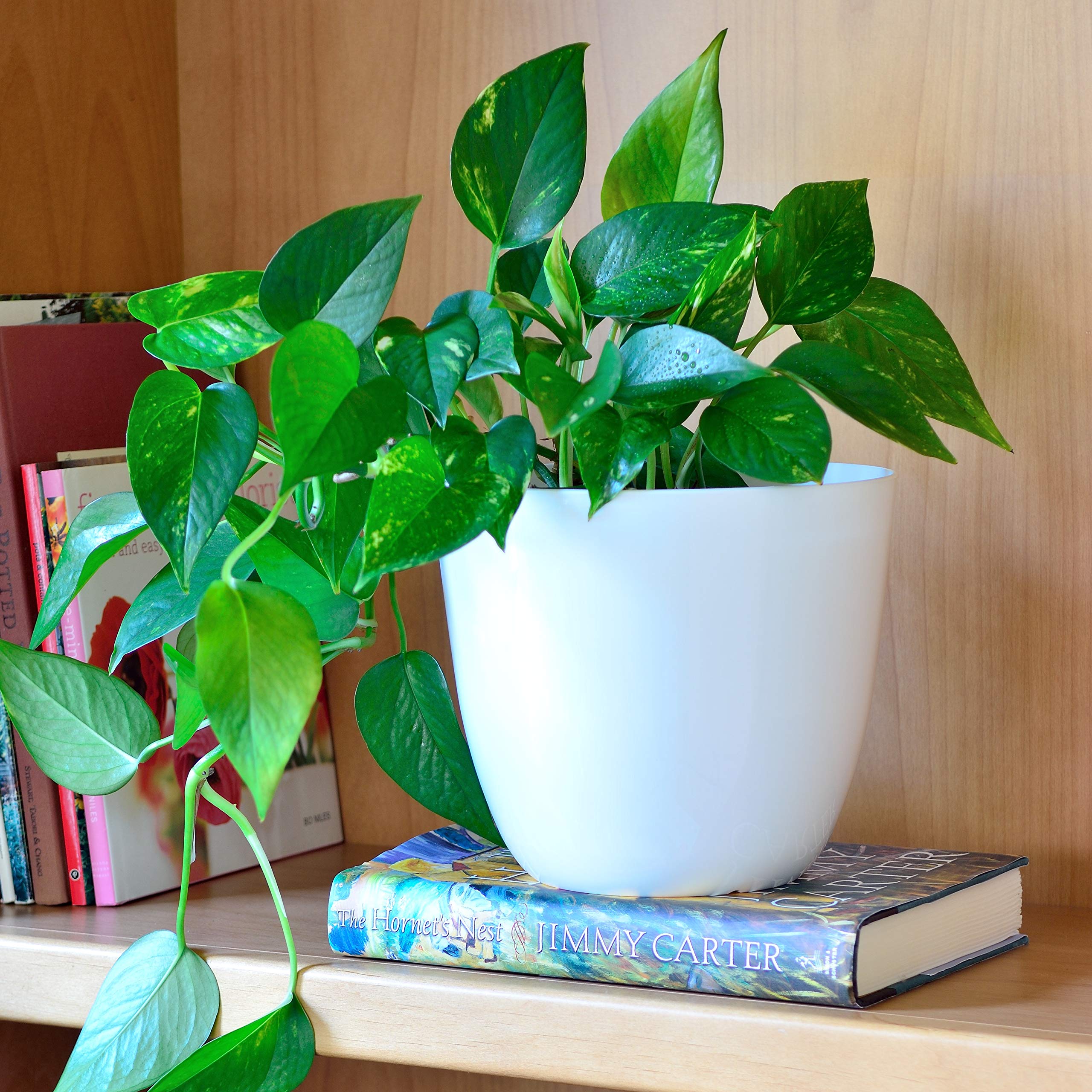 Youngever 6 Pack 7.5 Inch Plastic Planters Indoor Flower Plant Pots, Modern Decorative Gardening Pot with Drainage for All House Plants, Flowers, Herbs