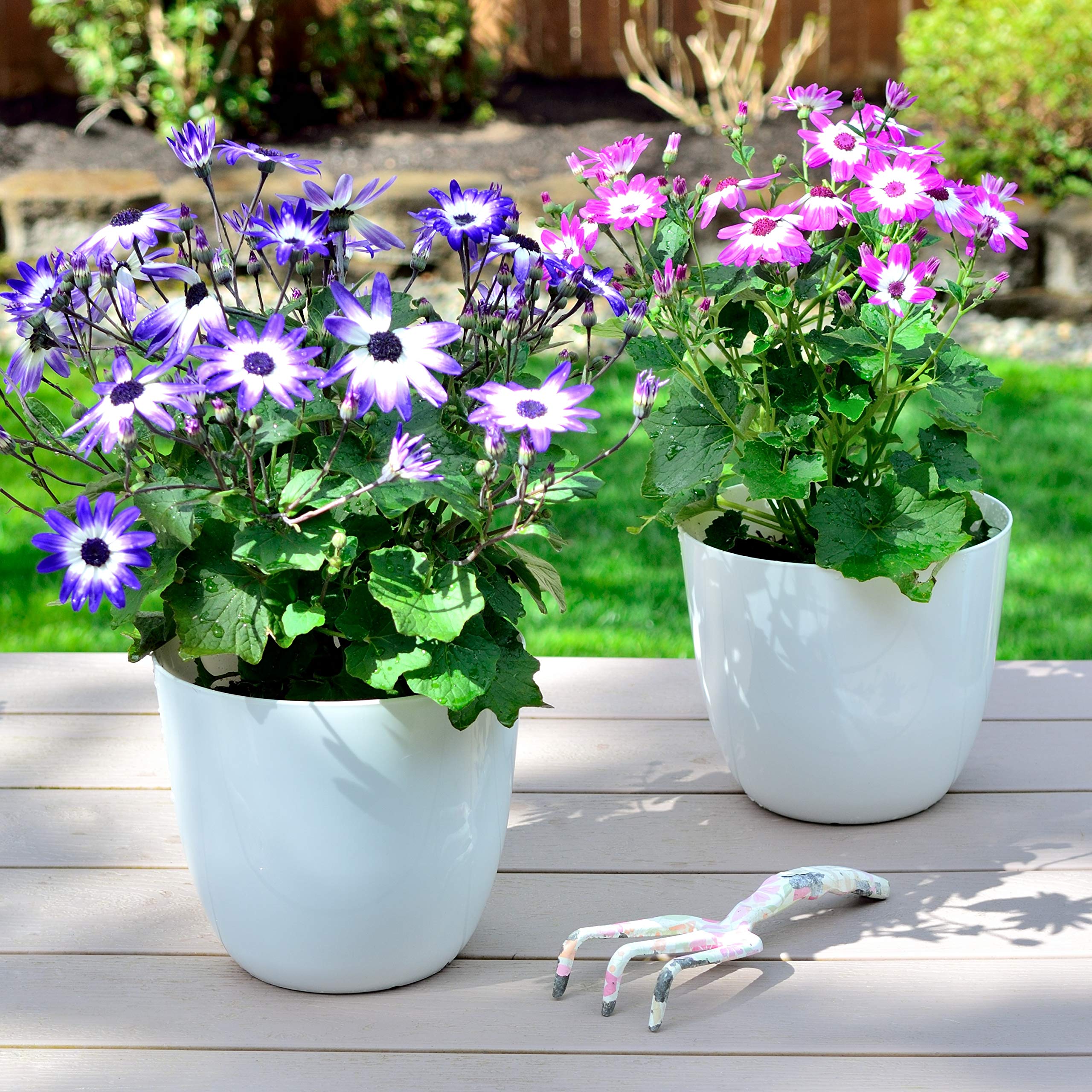 Youngever 6 Pack 7.5 Inch Plastic Planters Indoor Flower Plant Pots, Modern Decorative Gardening Pot with Drainage for All House Plants, Flowers, Herbs