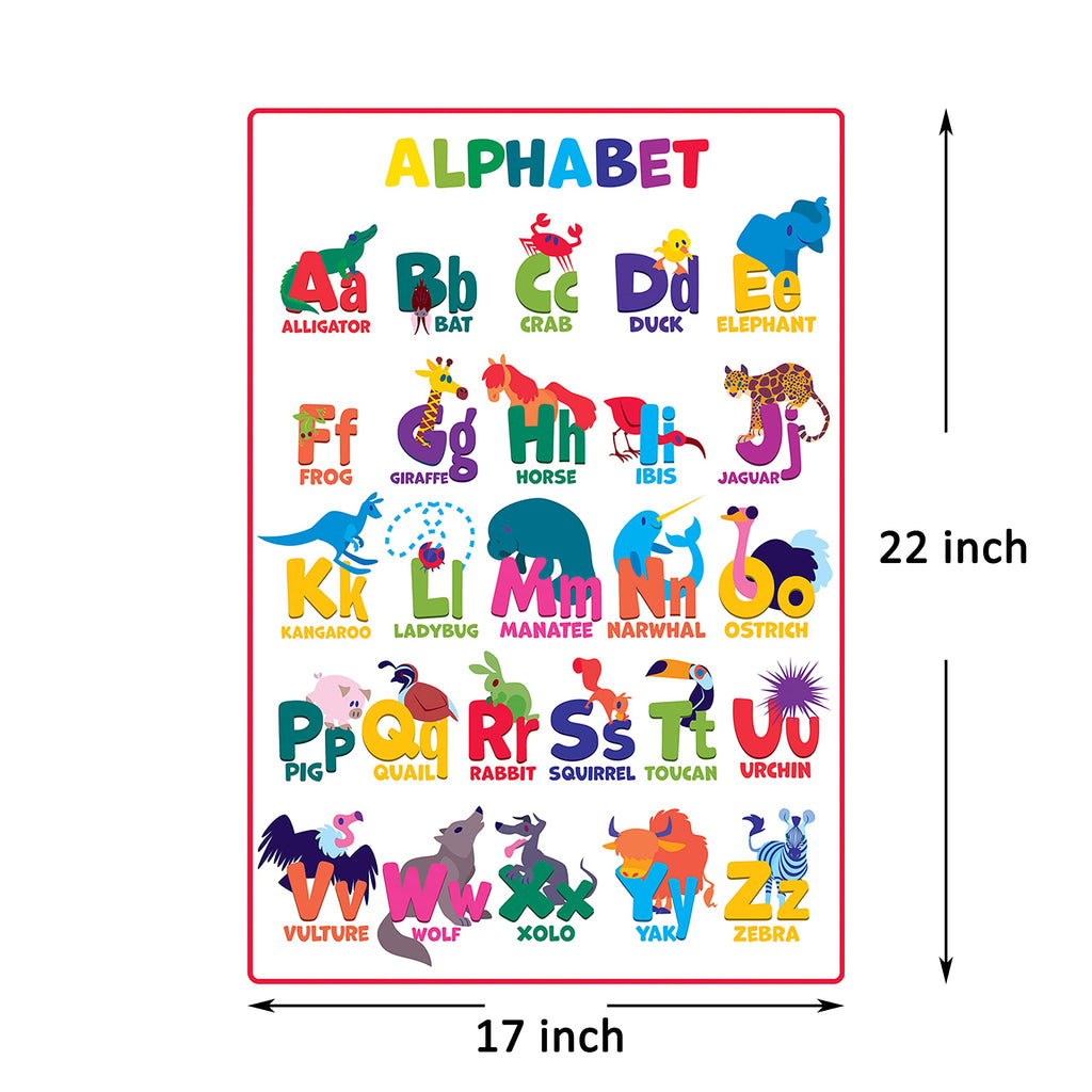 Youngever 12 Pack Laminated Educational Preschool Posters for Toddlers & Kids, Learning & Teaching Alphabet ABC Posters