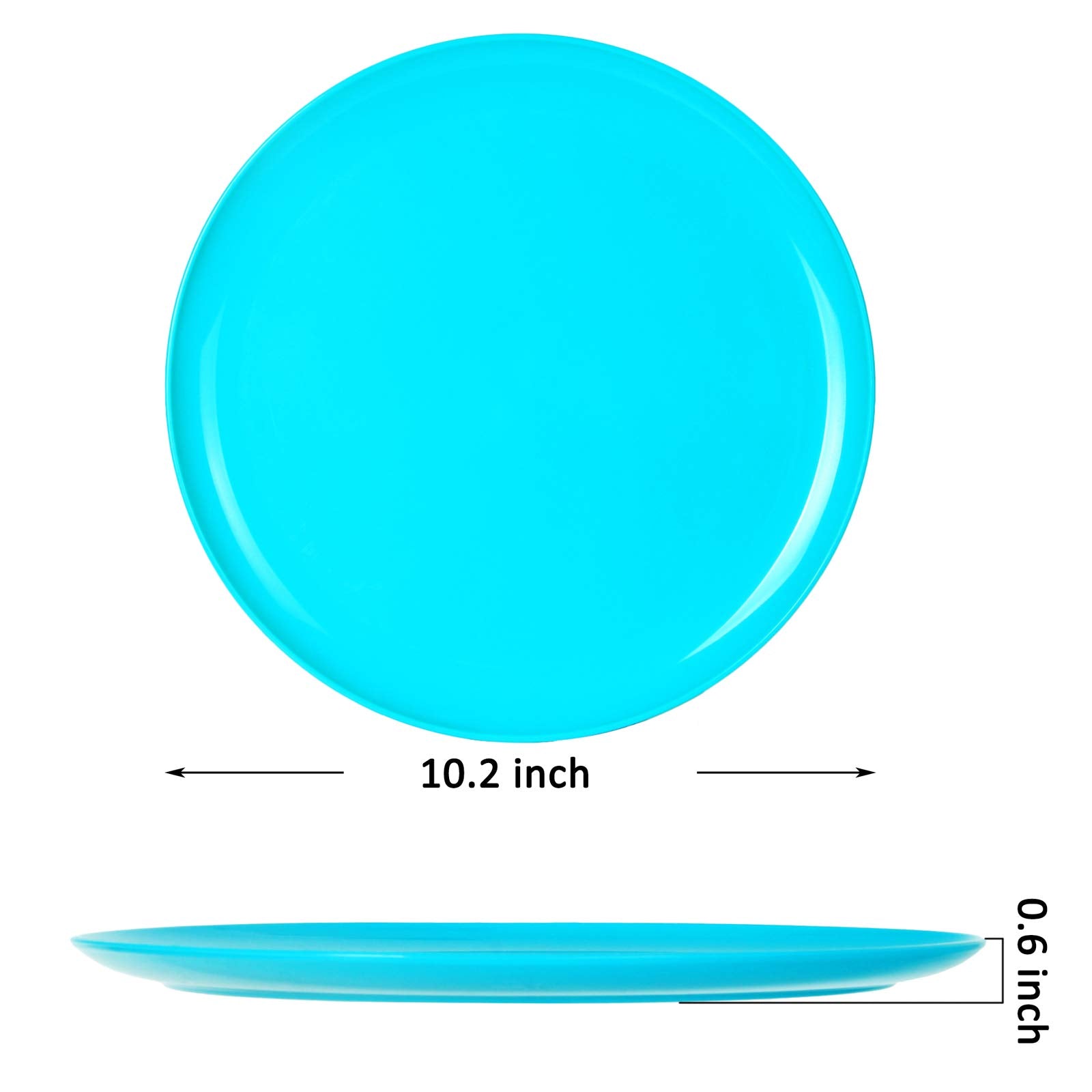 Youngever 10 Inch Plastic Plates, Large Plates, Dinner Plates, Set of 9