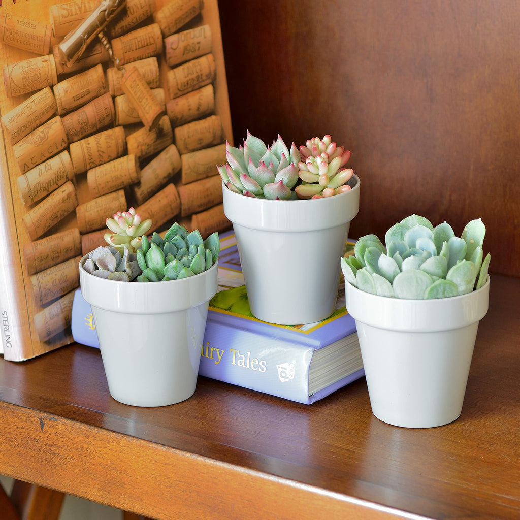 Youngever 24 Pack 2 Inch Mini Plastic Planters, Indoor Flower Plant Pots, Grey Gardening Pot with Drainage - NO Plant Included