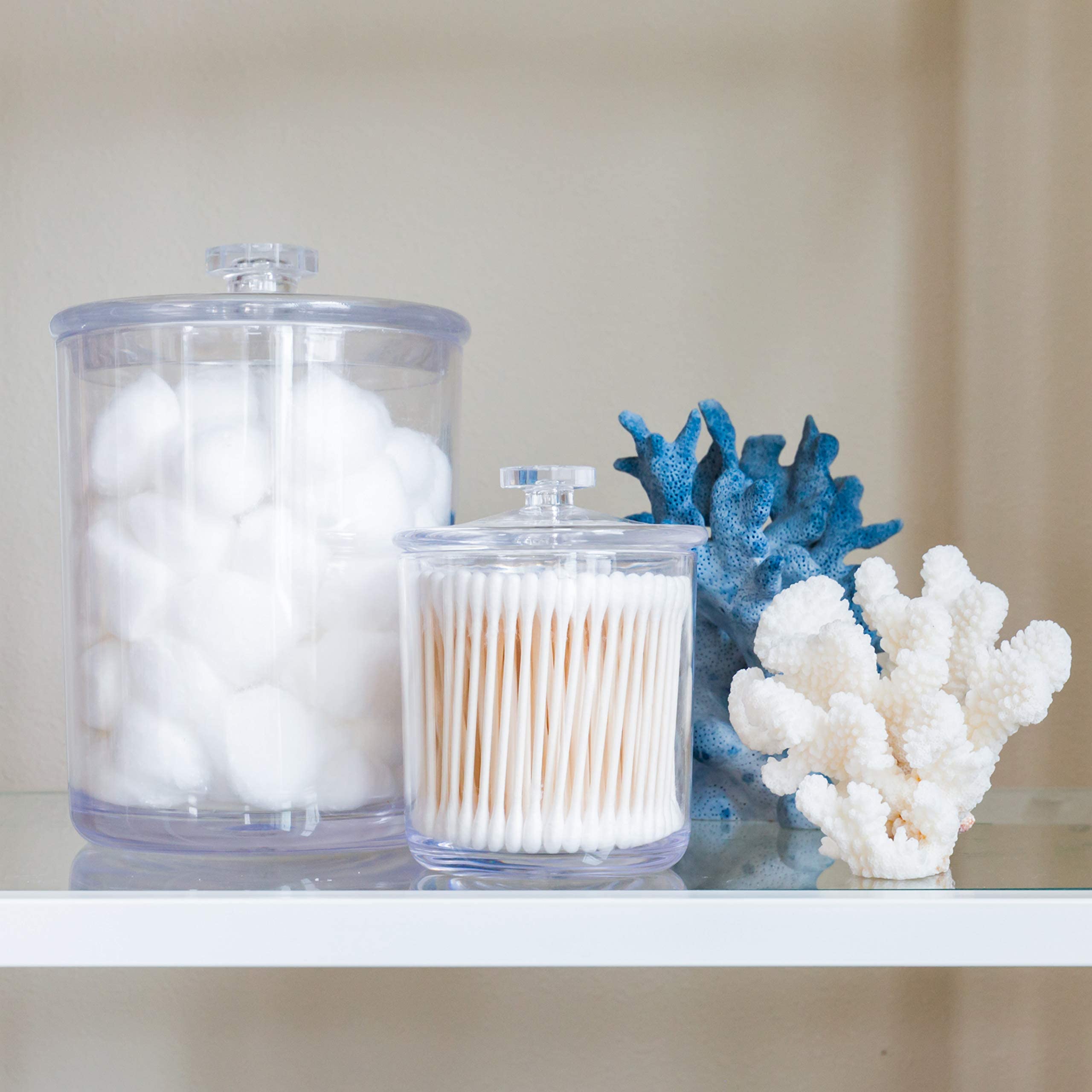 Youngever Clear Plastic Apothecary Jars