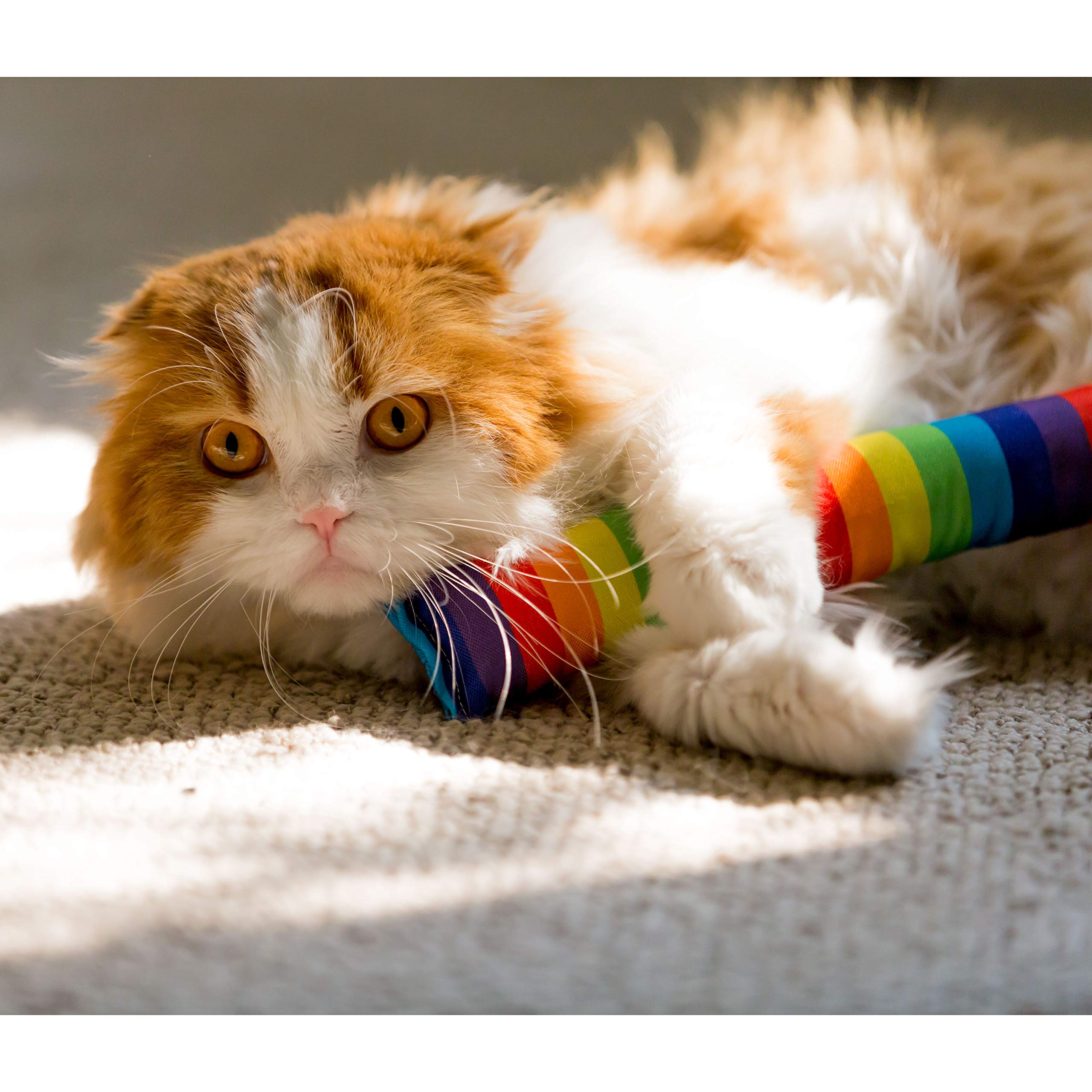 Youngever 4 Pack Cat Kicker Toys for Kitty, Puppy & Kitten - Interactive Cat Toys with Cotton Fabric