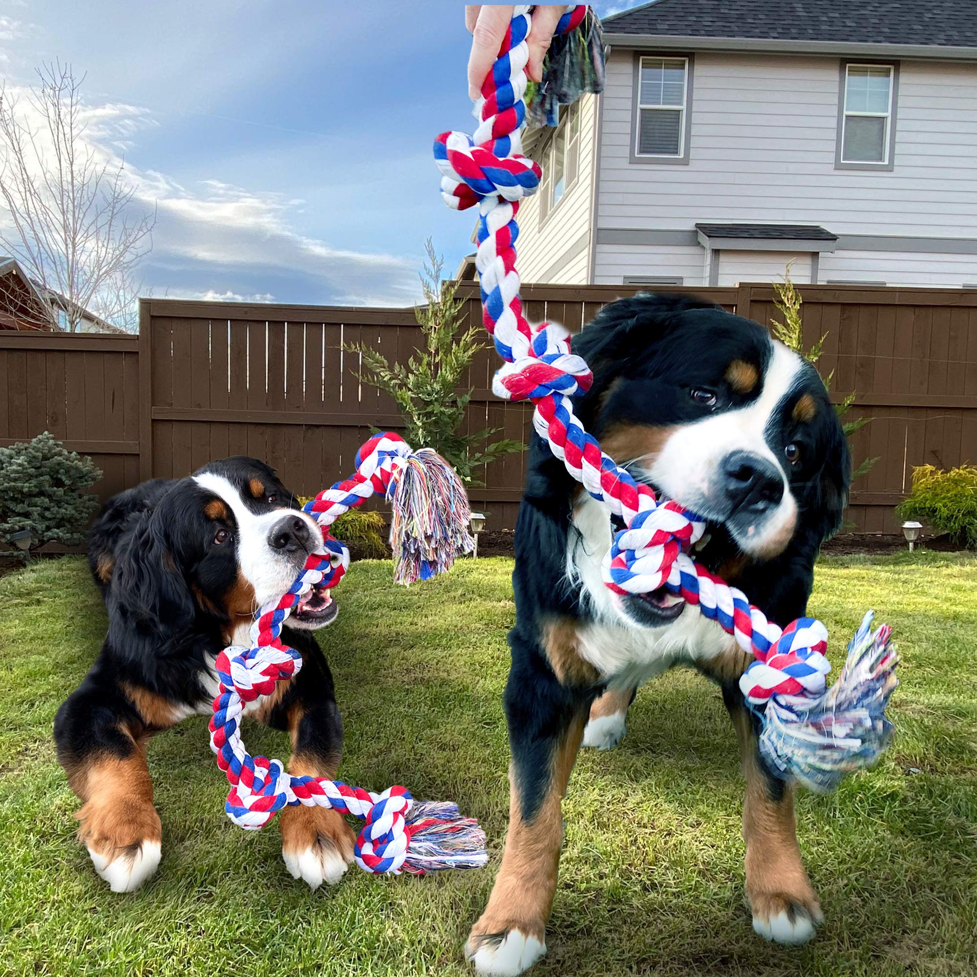 Youngever 3.5 Feet Tough Rope Toys for Aggressive Chewers, XL & Large Dogs, Indestructible Tug War Teeth Cleaning