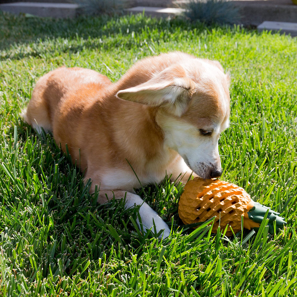 Youngever Pineapple Dog Treat Toys for Pet Teeth Cleaning, Chewing, Fetching, Tough Toy for Aggressive Chewers, IQ Treat Food Dispensing Toys