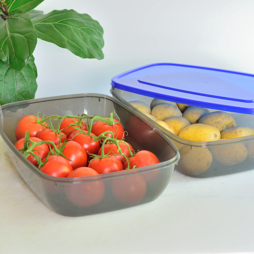 Youngever 2 Pack Extra Large Food Storage Containers
