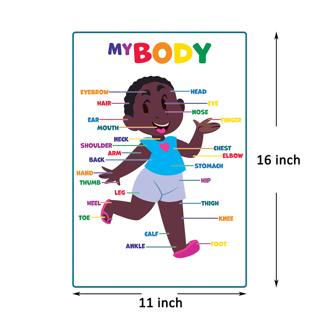 Youngever 12 Pack Laminated Educational Preschool Posters for Toddlers & Kids, Learning & Teaching Alphabet ABC Posters