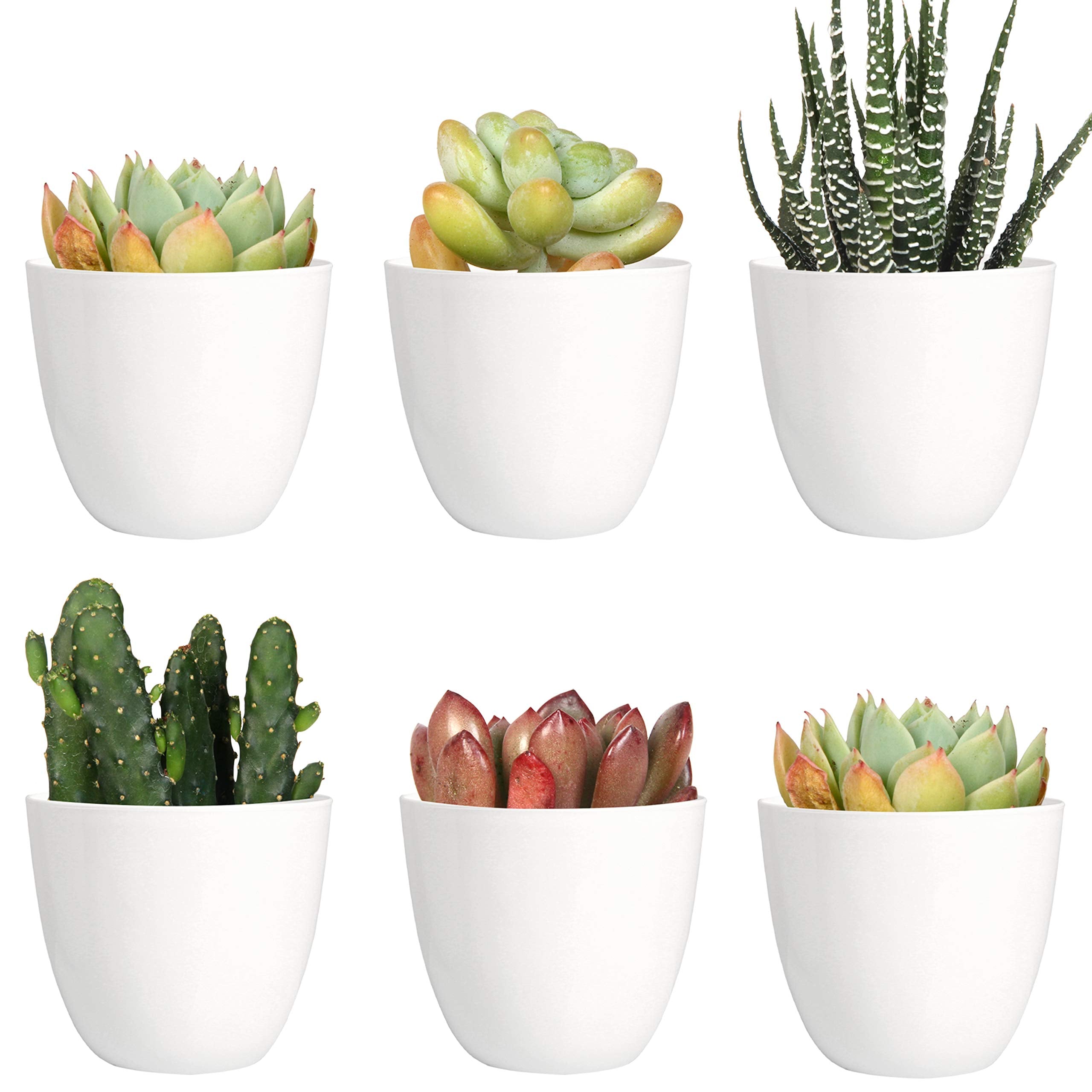 Youngever 10 Pack 3 Inch Mini Plastic Planters Indoor Flower Plant Pots, White Gardening Pot with Drainage for All House Plants, Flowers, Herbs, Succulents, NO Plant Included