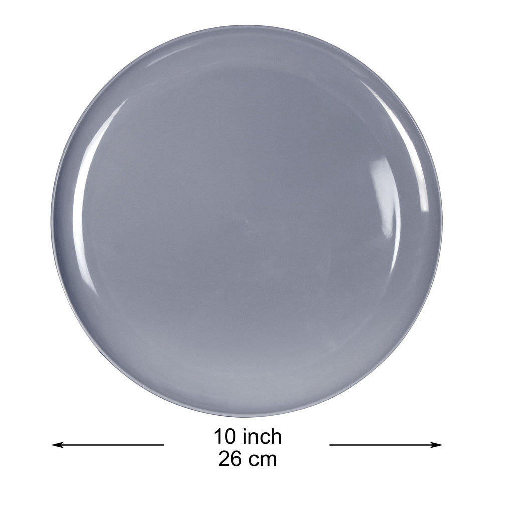 Youngever 10 Inch Plastic Plates, Large Plates, Dinner Plates, Set of 9