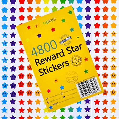 Youngever 4800 Reward Star Stickers, 18 Designs, Star Labels for Kids, Reward Stickers Mega Variety Pack, Incentive Stickers for Teacher Supplies Classroom Supplies