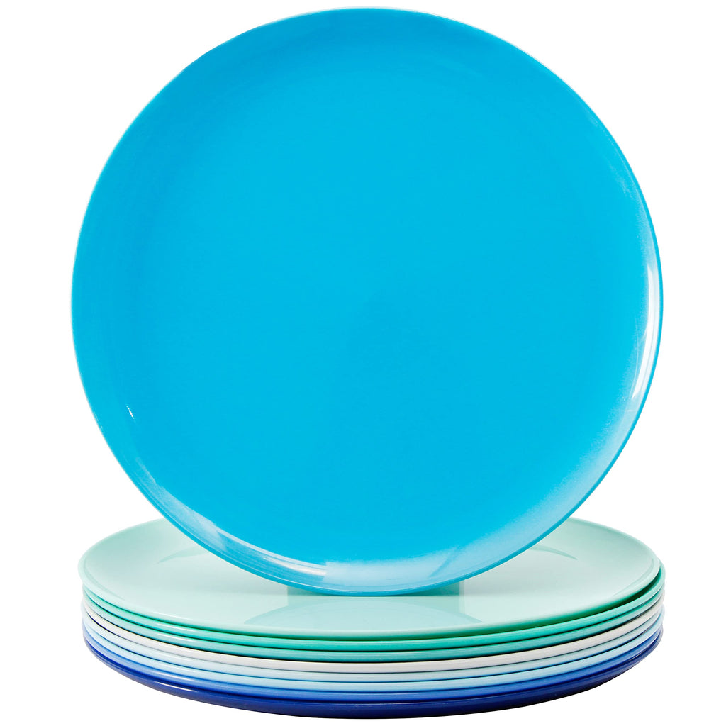 Youngever 10 Inch Plastic Plates, Large Plates, Dinner Plates, Set of 9
