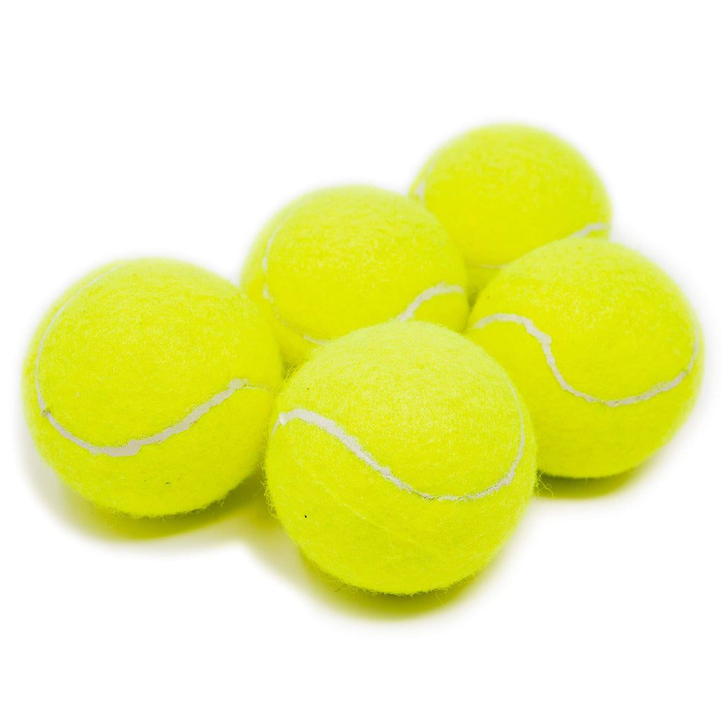Youngever 5 Pack Large Tennis Balls for Dogs 2.7 Inch, Dog Toys for Exercise and Training, for Medium Large and Extra Large Breeds