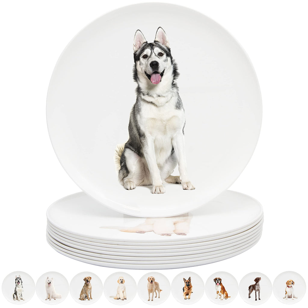 Youngever 10 Inch Plastic Plates, Large Plates, Dinner Plates, Set of 9