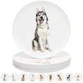 Youngever 10 Inch Plastic Plates, Large Plates, Dinner Plates, Set of 9