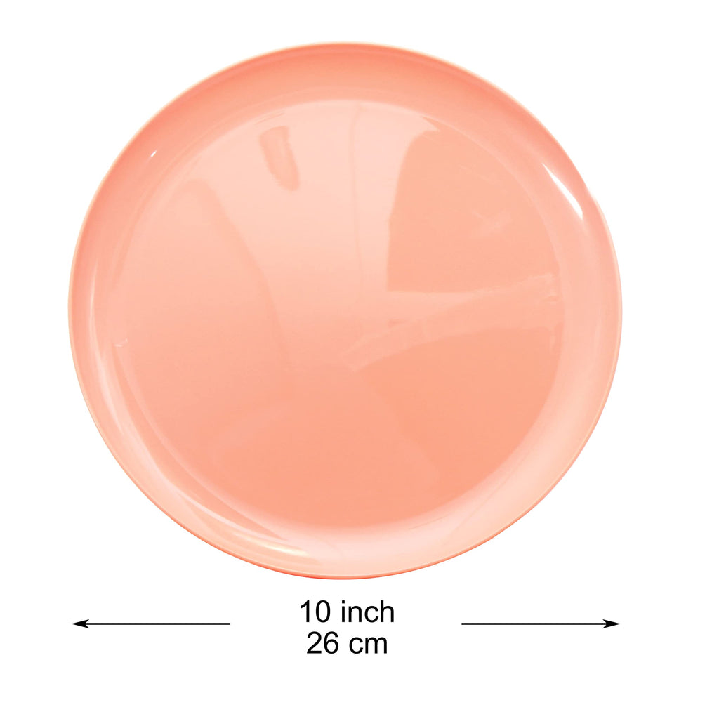 Youngever 10 Inch Plastic Plates, Large Plates, Dinner Plates, Set of 9