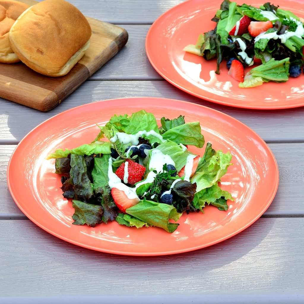 Youngever 10 Inch Plastic Plates, Large Plates, Dinner Plates, Set of 9