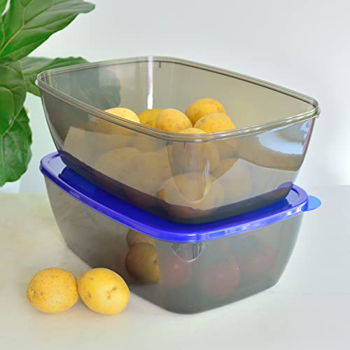 Youngever 2 Pack Large Food Storage Container Boxes - Reusable Plastic Meal Prep Containers