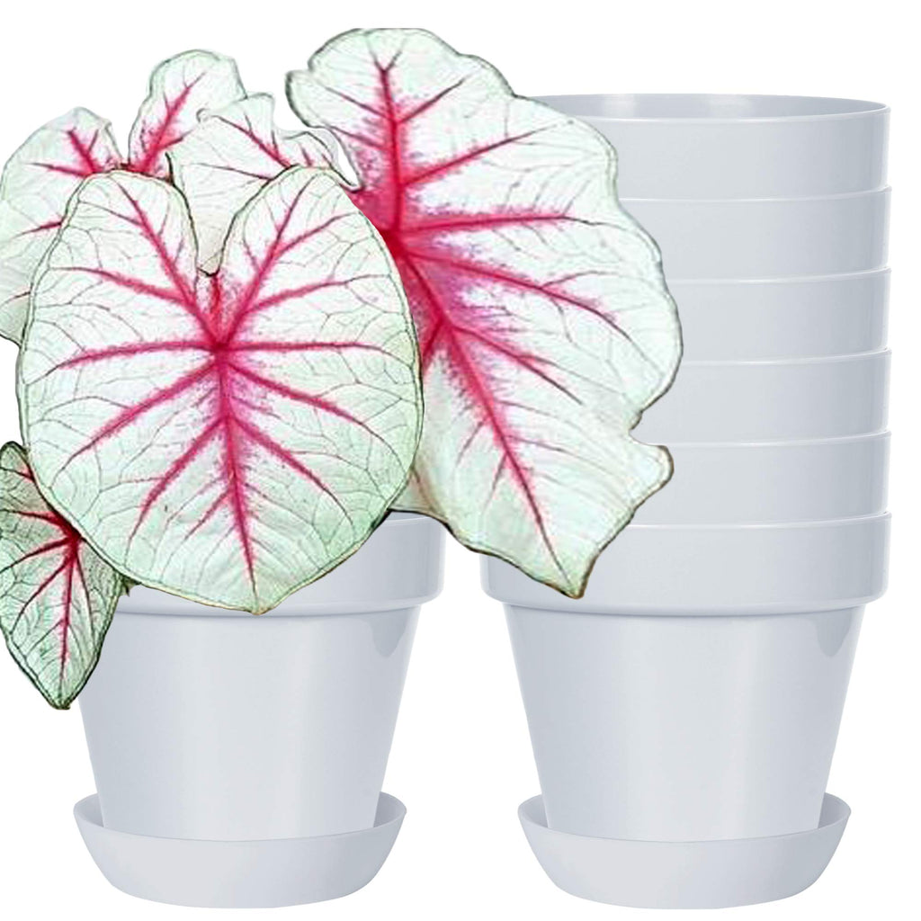 Youngever 7 Pack 6.5 Inch Plastic Planters, Indoor Flower Plant Pots, Classic Decorative Gardening Pot with Drainage