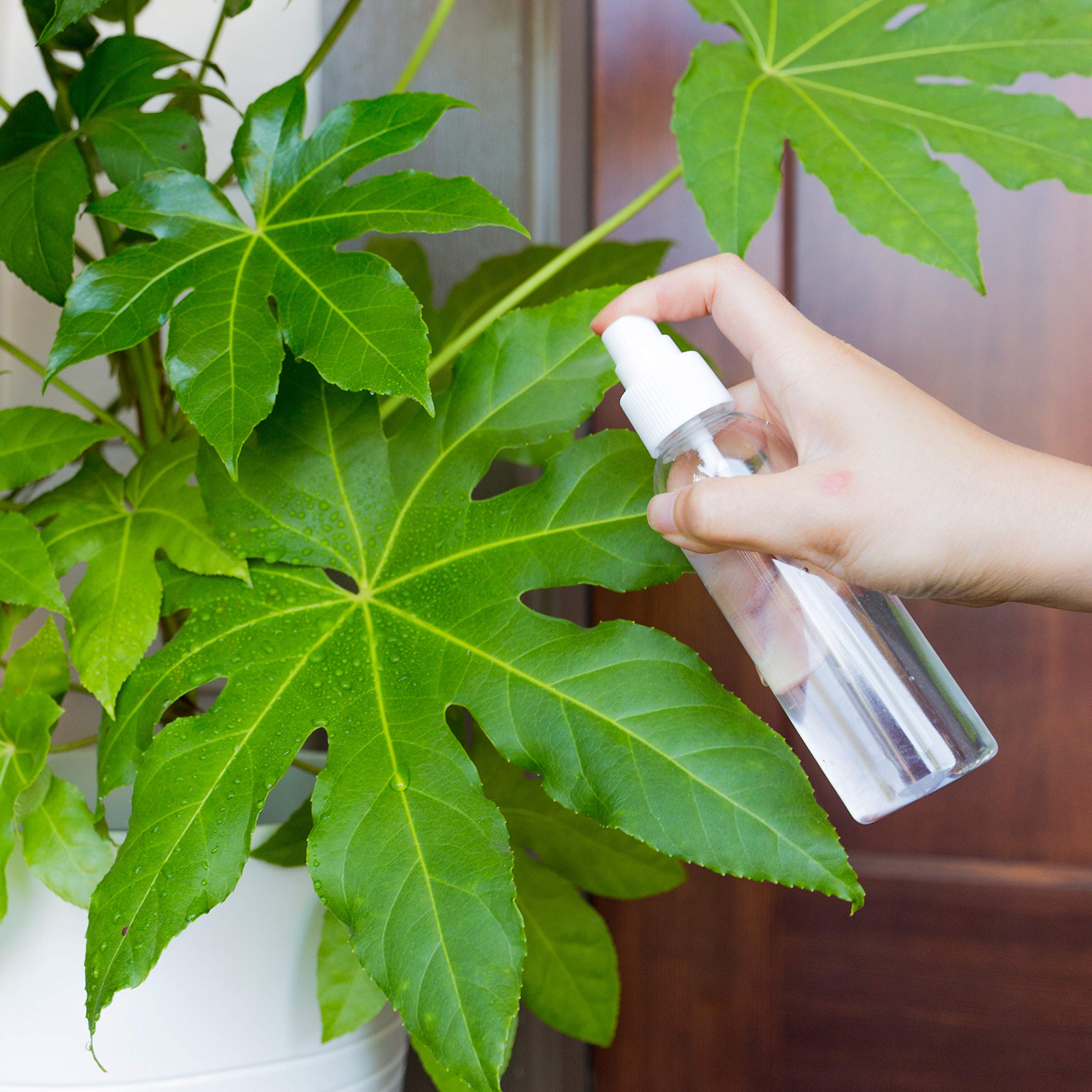 Youngever 10 Pack Plastic Spray Bottles 4 Ounce, Refillable Plastic Spray Bottles with Lids, Clear Empty Fine Mist Plastic Mini Travel Bottles