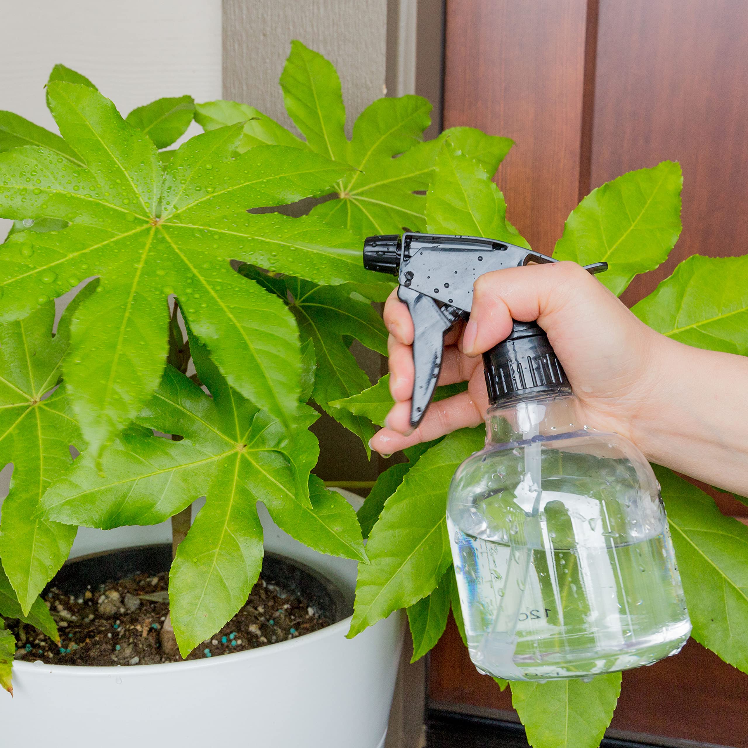 Youngever 12 Pack Empty Plastic Spray Bottles, Spray Bottles for Hair and Cleaning Solutions