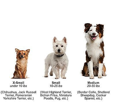 Youngever 8 Durable Dog Chew Toys, Puppy Toys, Dog Rope Toys Value Pack, Puppy Teething Toys for Small and Medium Dogs