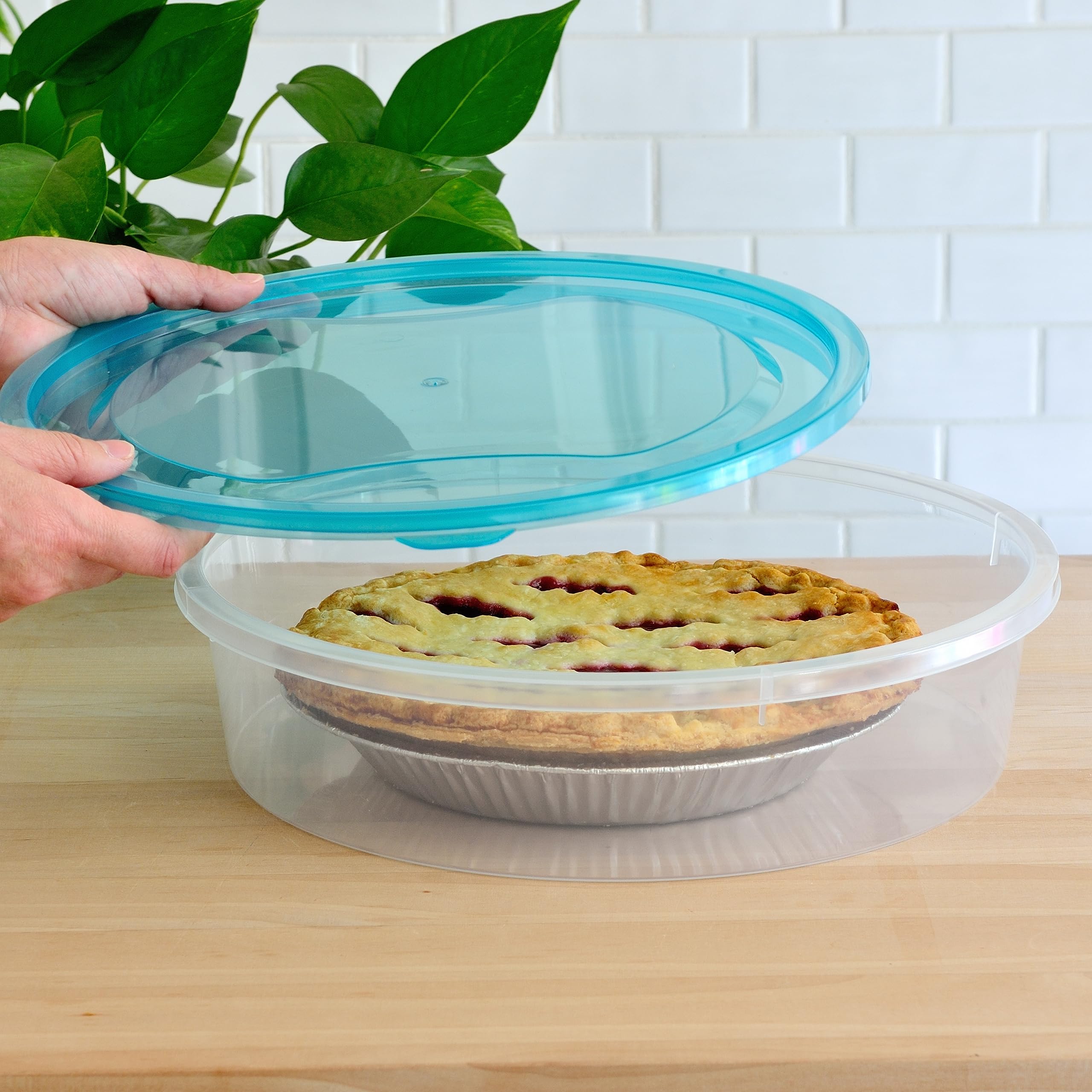 Youngever 3 Pack Pie Containers, Clear Plastic Food Storage Containers, Fresh Pie Keeper, 11 inch Diameter