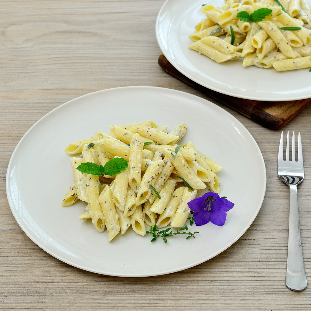 Youngever 10 Inch Plastic Plates, Large Plates, Dinner Plates, Set of 9