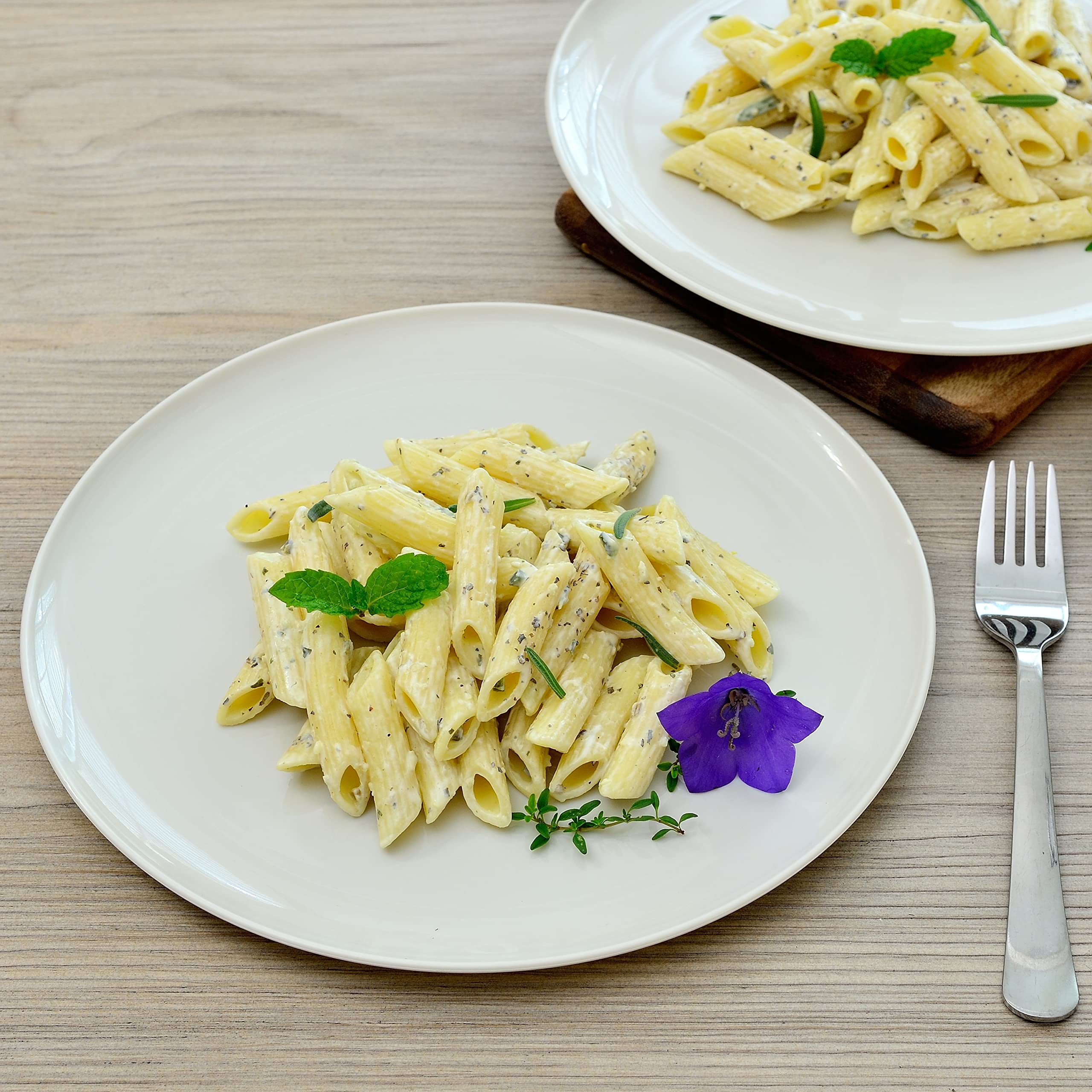 Youngever 10 Inch Plastic Plates, Large Plates, Dinner Plates, Set of 9