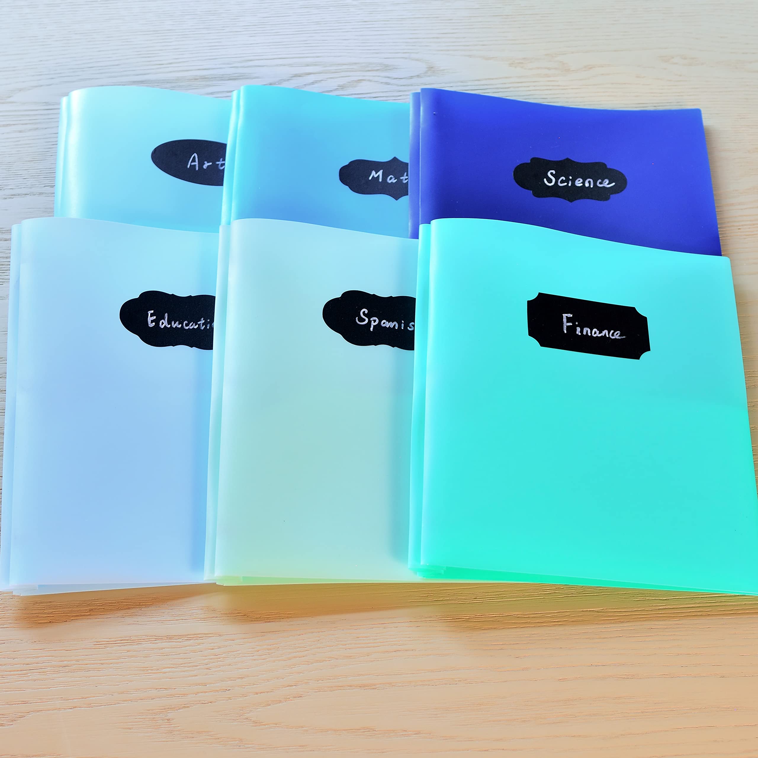 Youngever 6 Pack Heavy Duty Plastic Two Pocket Folders with 3 Prongs, Metal Prongs Fastener, Heavy Duty Plastic 2 Pocket Folder, in 6 Coastal Colors