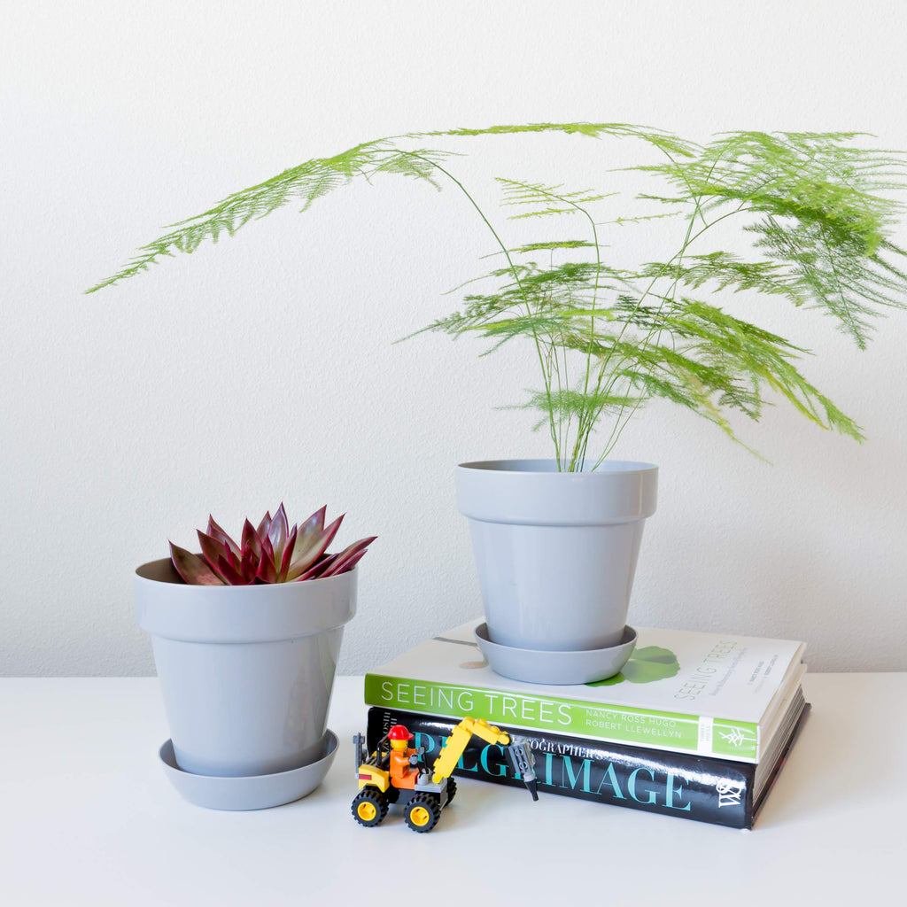 Youngever 7 Pack 6.5 Inch Plastic Planters, Indoor Flower Plant Pots, Classic Decorative Gardening Pot with Drainage