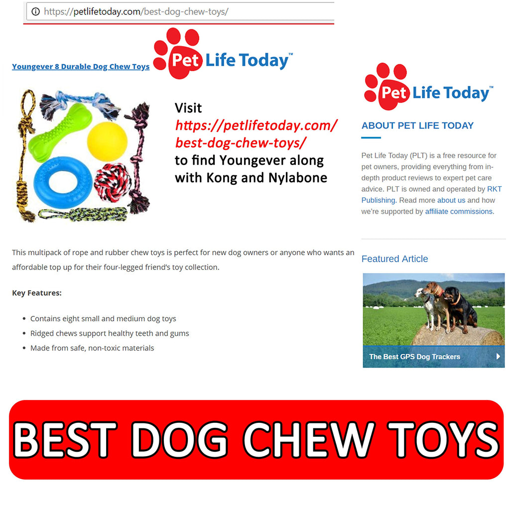 Youngever 8 Durable Dog Chew Toys, Puppy Toys, Dog Rope Toys Value Pack, Puppy Teething Toys for Small and Medium Dogs