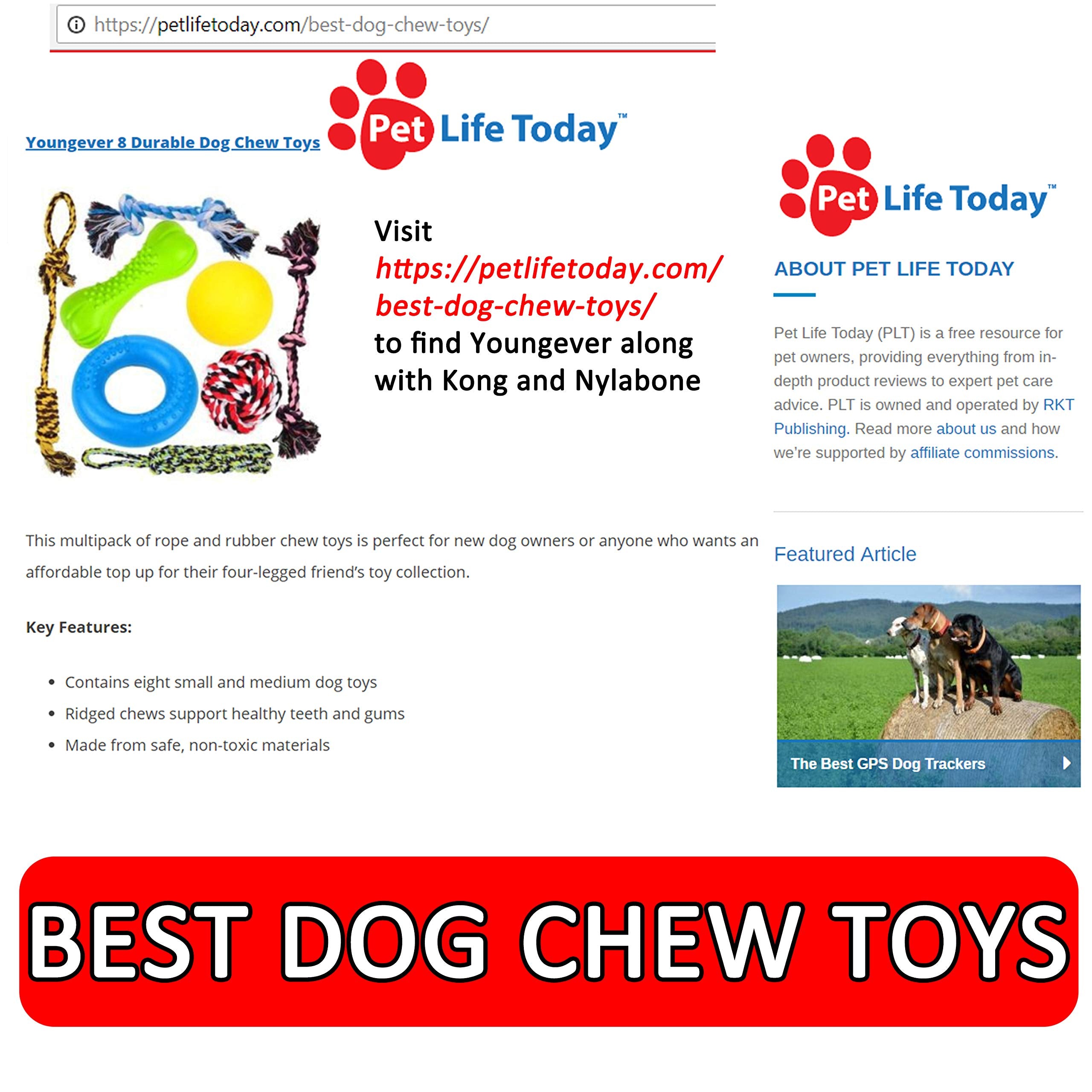 Youngever 8 Durable Dog Chew Toys, Puppy Toys, Dog Rope Toys Value Pack, Puppy Teething Toys for Small and Medium Dogs