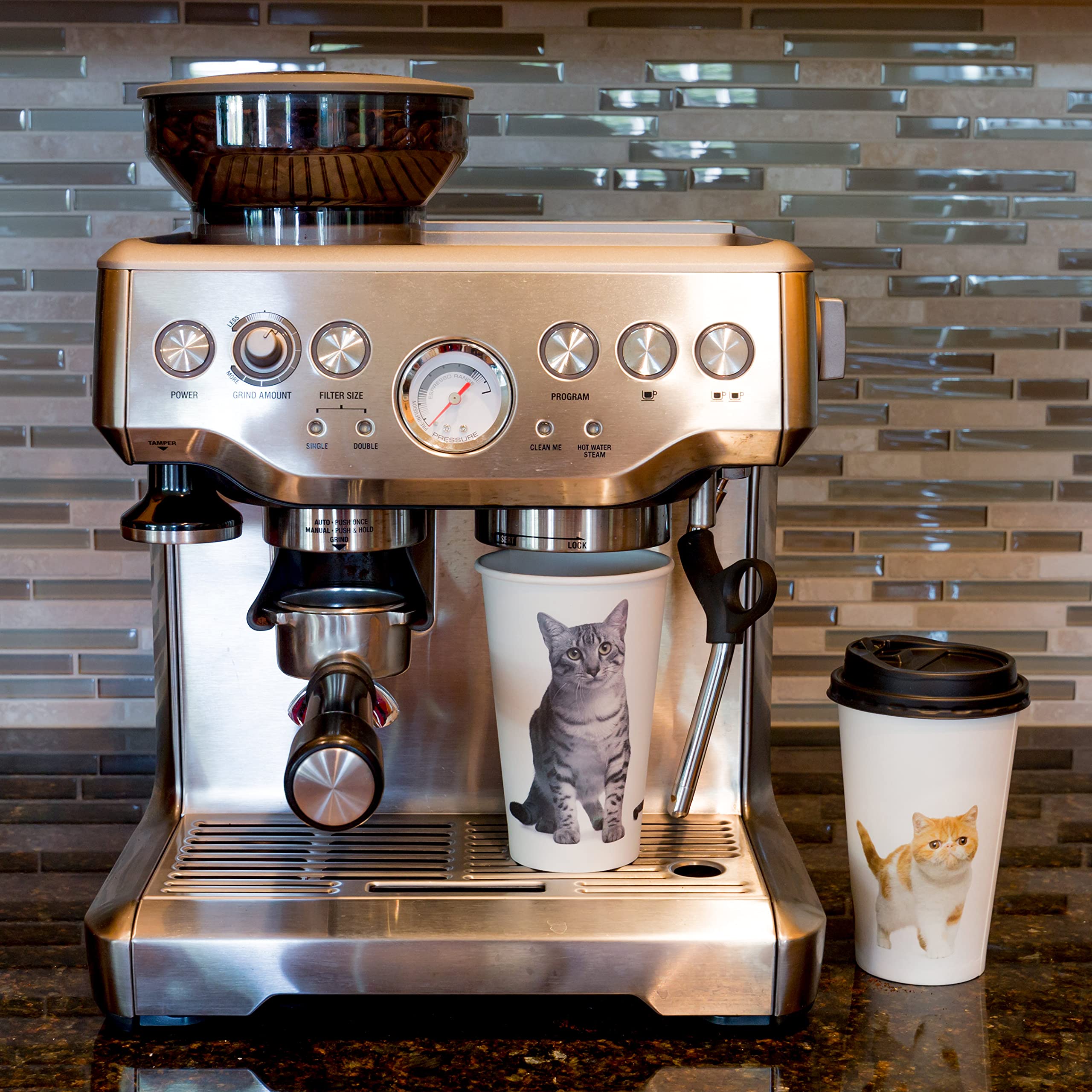 Youngever 72 Sets Disposable Coffee Cups with Lids, To Go Hot Coffee Cups, Durable Paper Cups with Lids