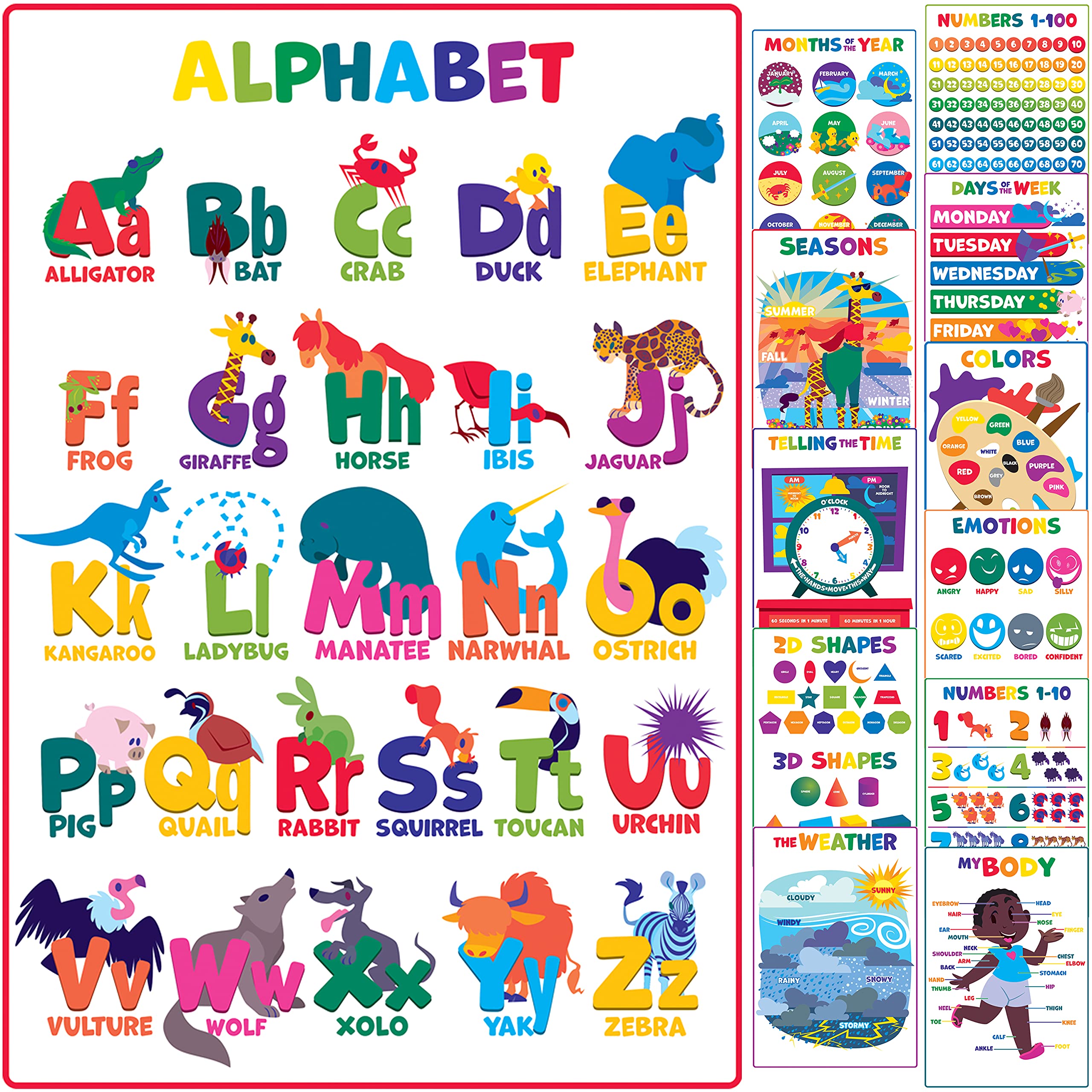 Youngever 12 Pack Laminated Educational Preschool Posters for Toddlers & Kids, Learning & Teaching Alphabet ABC Posters