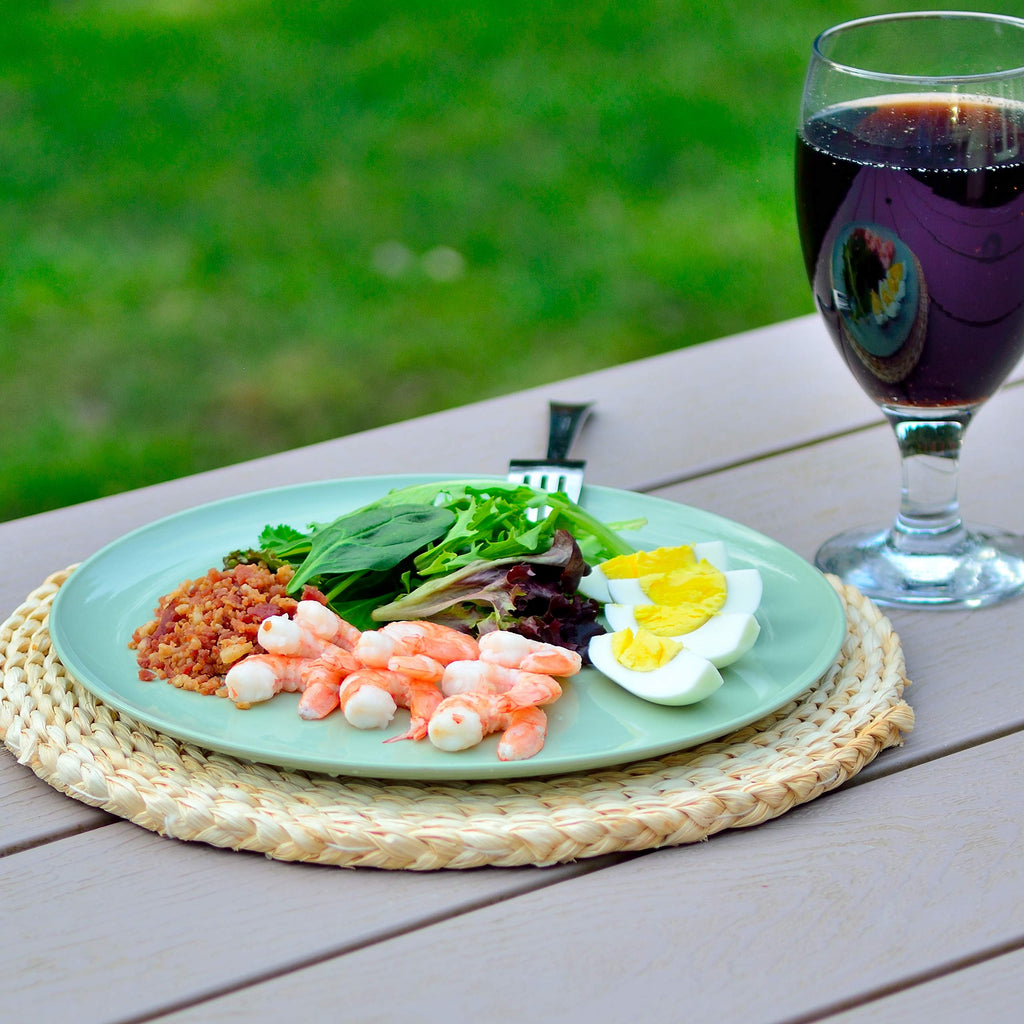 Youngever 10 Inch Plastic Plates, Large Plates, Dinner Plates, Set of 9