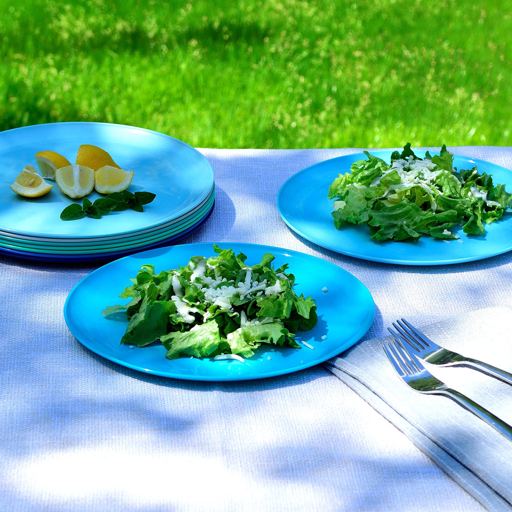 Youngever 10 Inch Plastic Plates, Large Plates, Dinner Plates, Set of 9