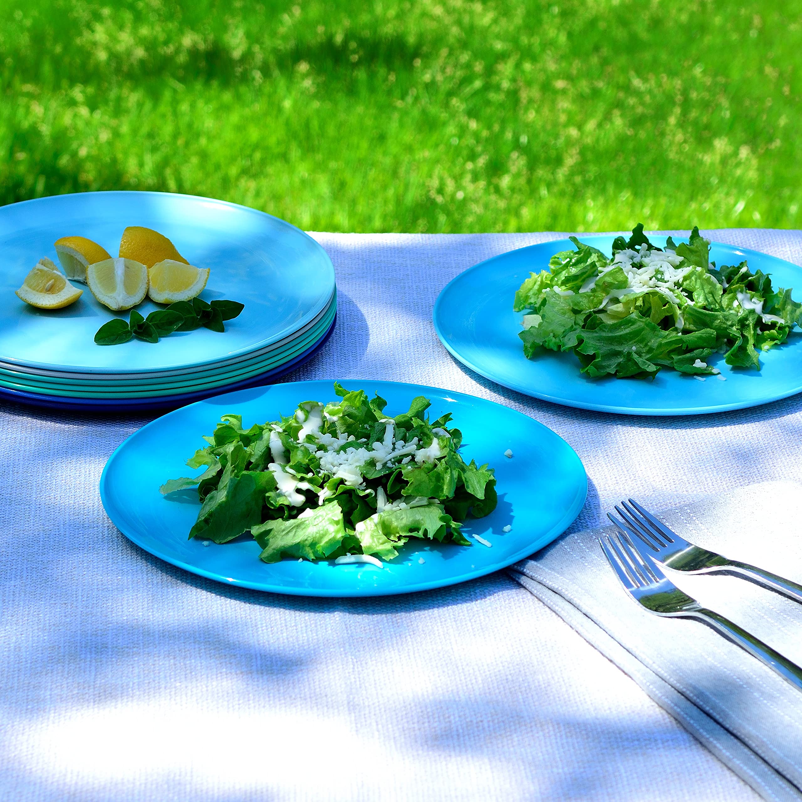 Youngever 10 Inch Plastic Plates, Large Plates, Dinner Plates, Set of 9