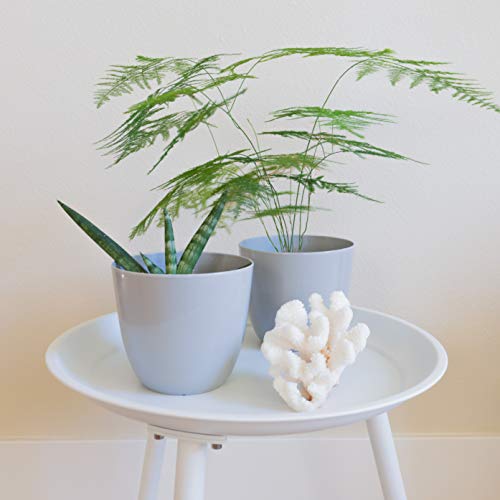 Youngever 7 Pack 6.5 Inch Plastic Planters Indoor Flower Plant Pots, Modern Decorative Gardening Pot with Drainage for All House Plants, Flowers, Herbs, Succulents and Hanging Plants