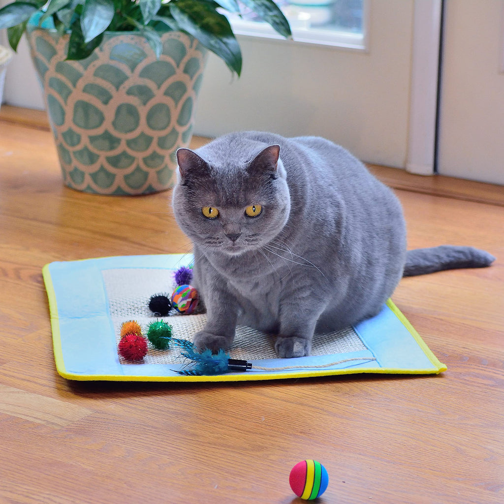 Youngever 18 Cat Toys Kitten Toys Assortments, Cat Teaser Wand, Interactive Bell Toy, Sparkle Balls for Cat, Puppy, Kitty, Kitten