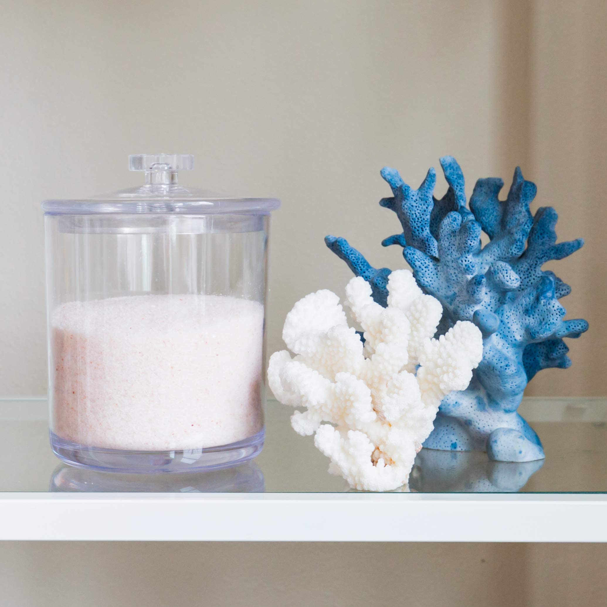 Youngever Clear Plastic Apothecary Jars