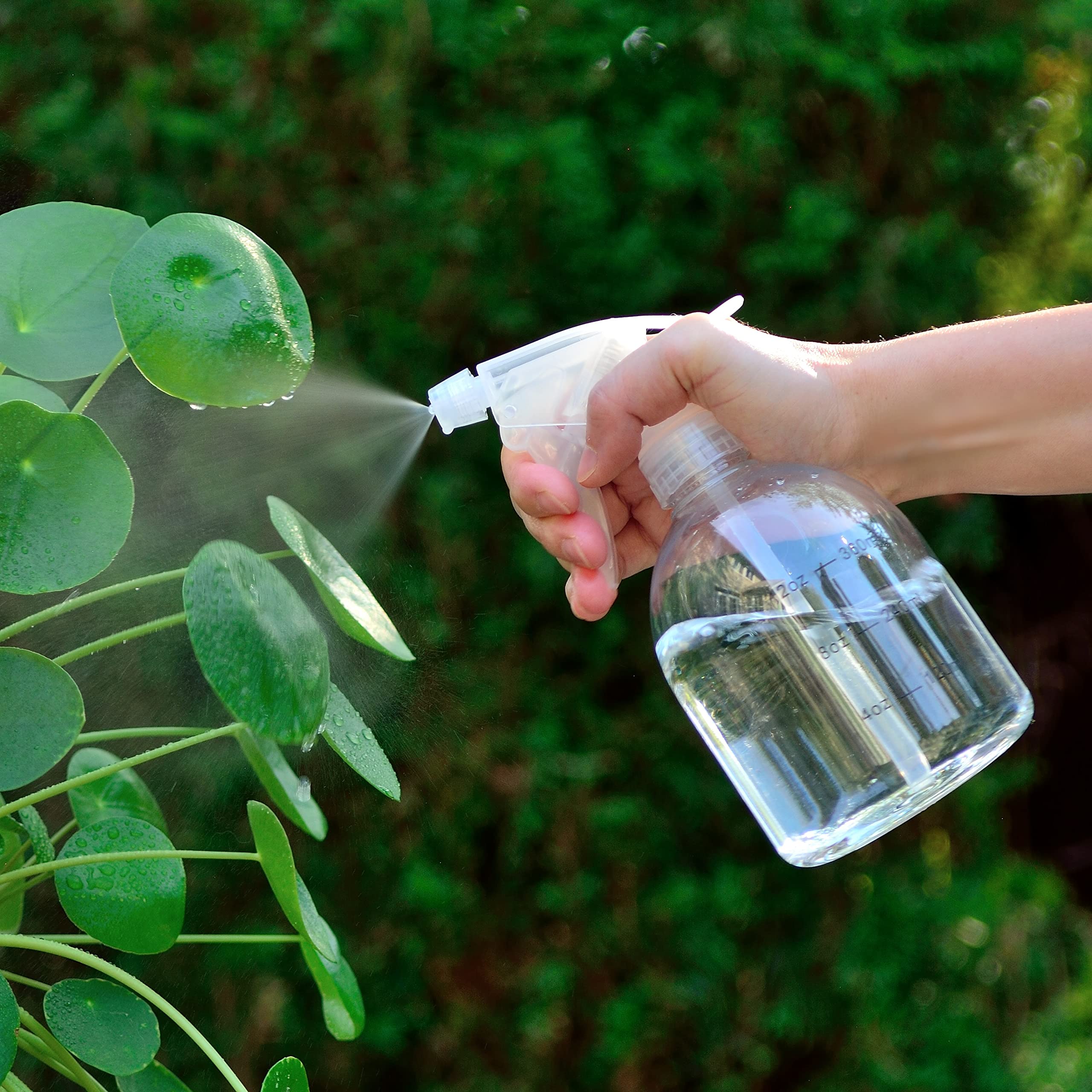 Youngever 6 Pack Empty Plastic Spray Bottles, Spray Bottles for Hair and Cleaning Solutions, 6 Pack 16 Ounce Bottles