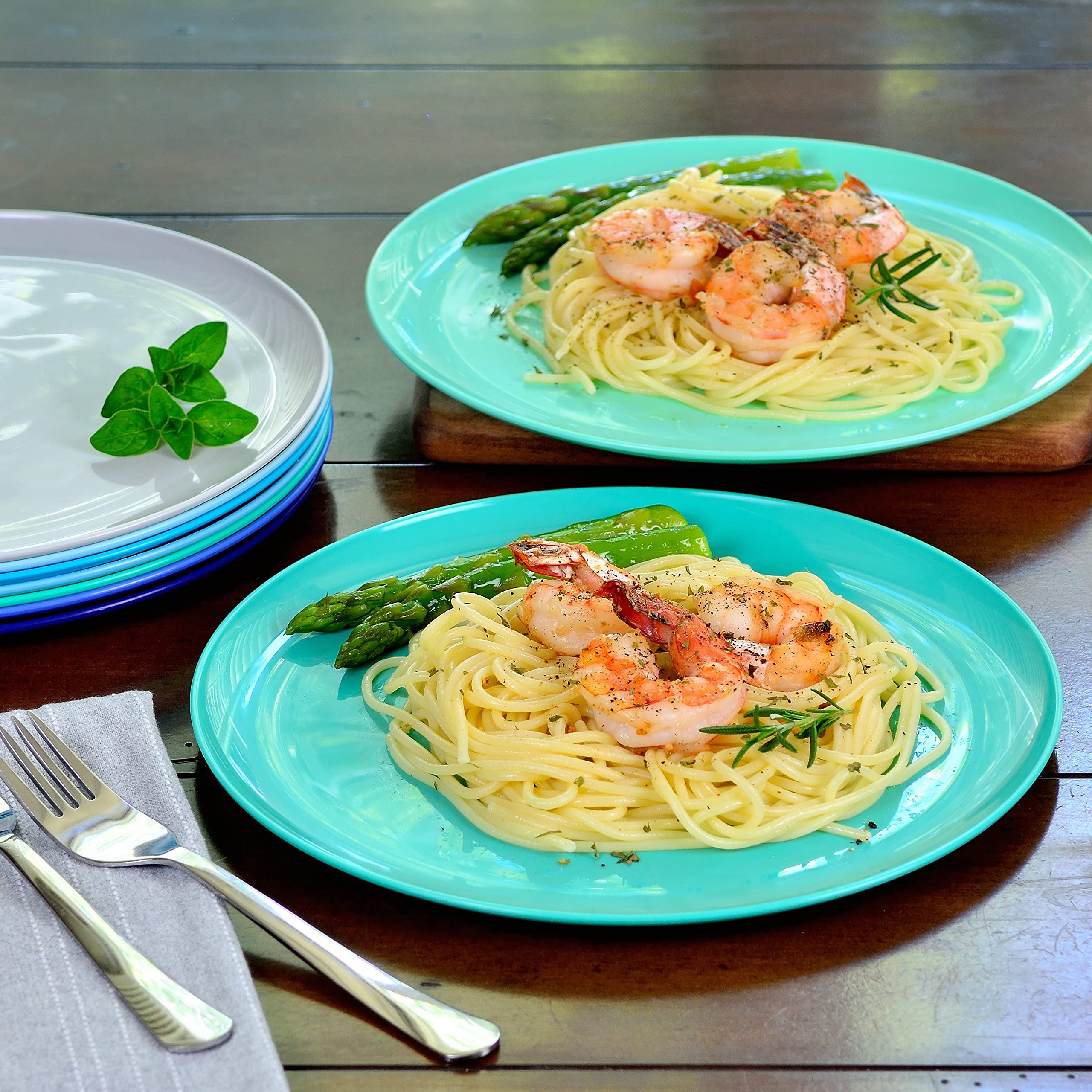 Youngever 10 Inch Plastic Plates, Large Plates, Dinner Plates, Set of 9