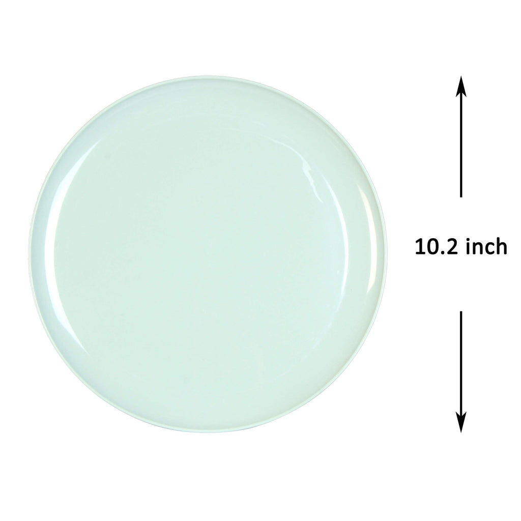 Youngever 10 Inch Plastic Plates, Large Plates, Dinner Plates, Set of 9